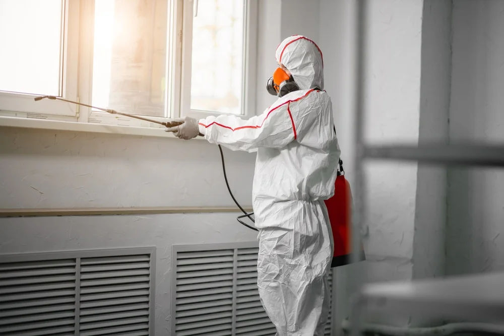 Professional mold remediation services in Haddam, CT